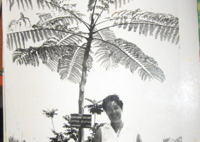 רות בנימין 1956